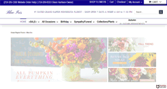 Desktop Screenshot of blueirisetc.com